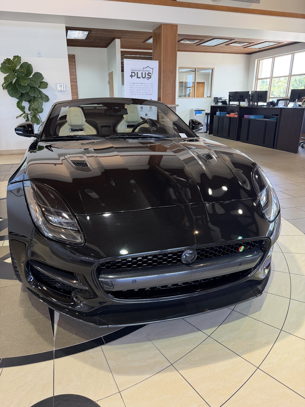 Tampa Bay Motorcars photo 2