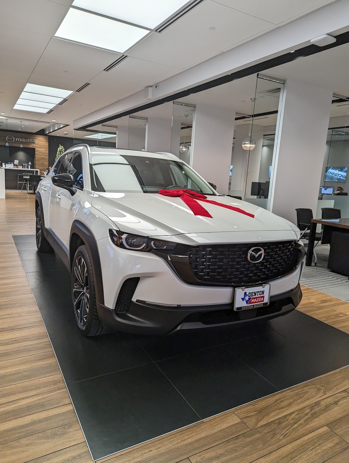 Group 1 Mazda Denton photo 5