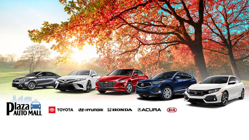 Plaza Auto Mall photo 2