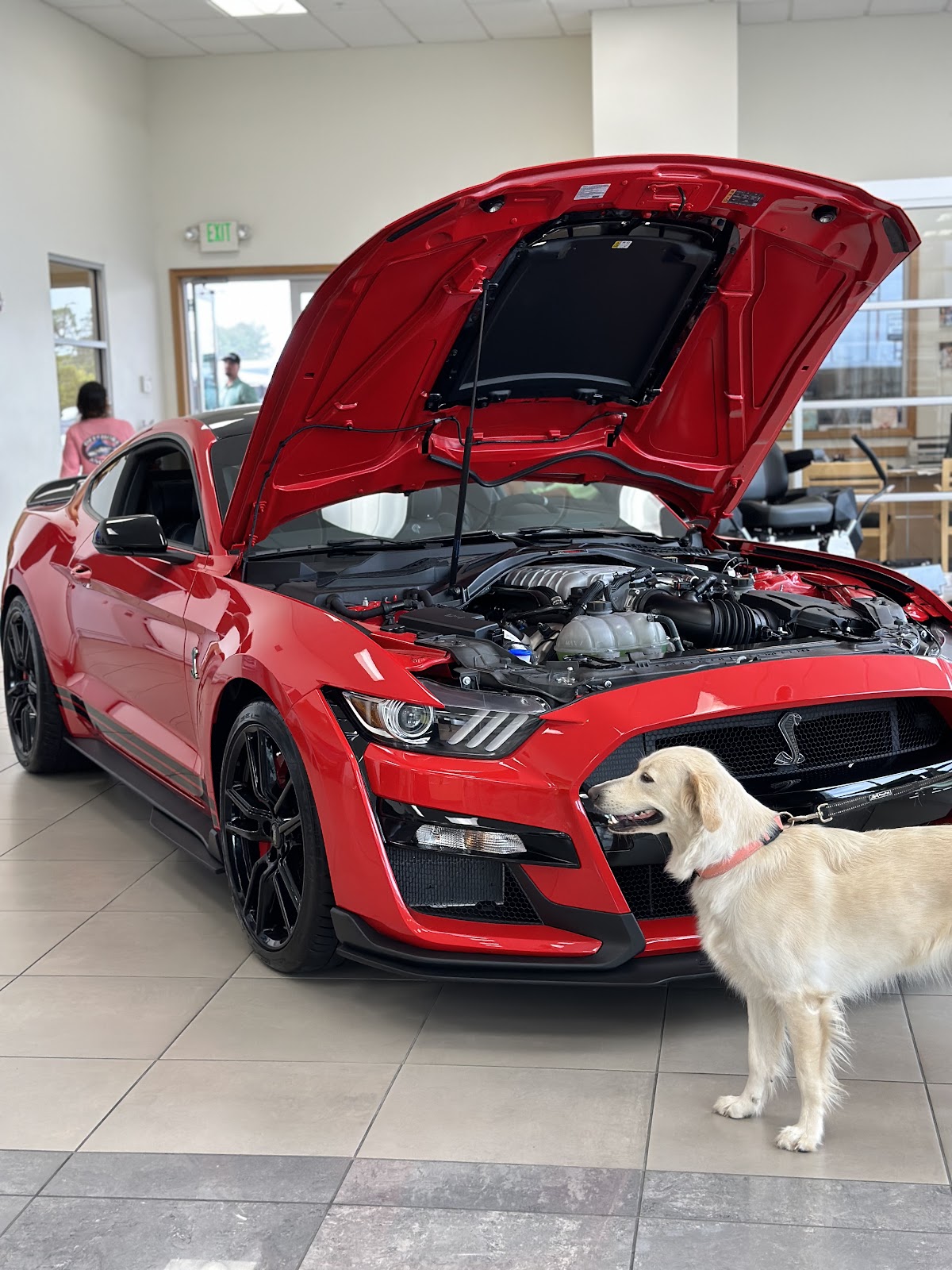 Woody Folsom Chrysler Dodge Jeep Ram photo 5