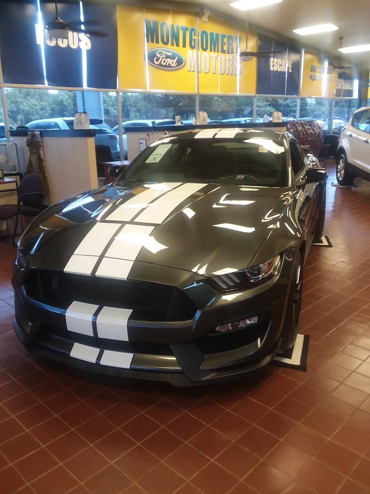 Montgomery Ford photo 5
