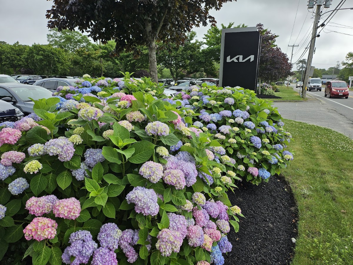 Cape & Islands Kia South Yarmouth photo 4