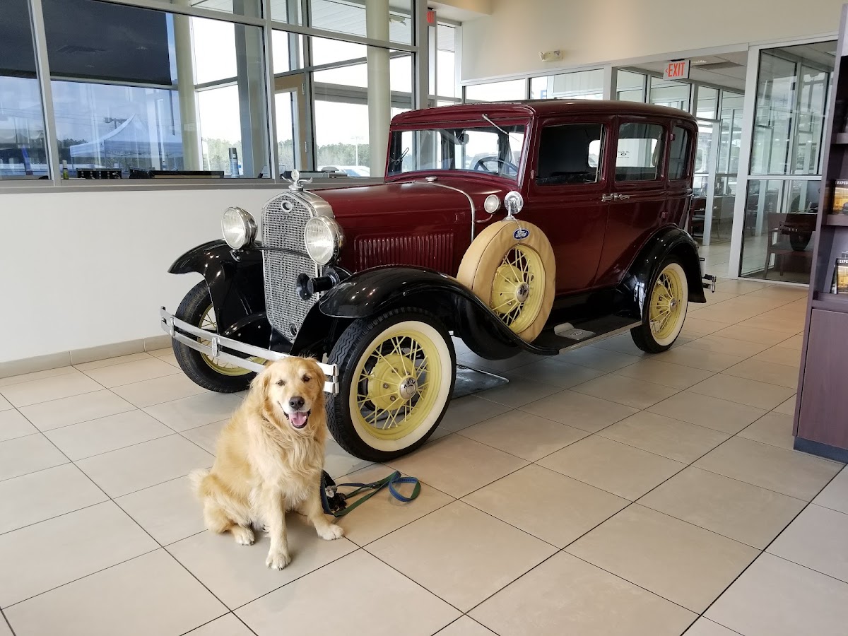 Jim Taylor Ford Ruston photo 3