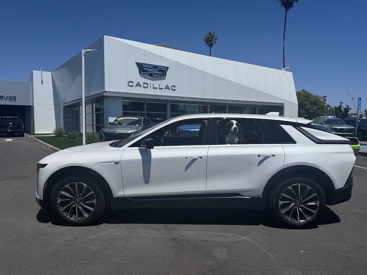 Cadillac Marin photo 1