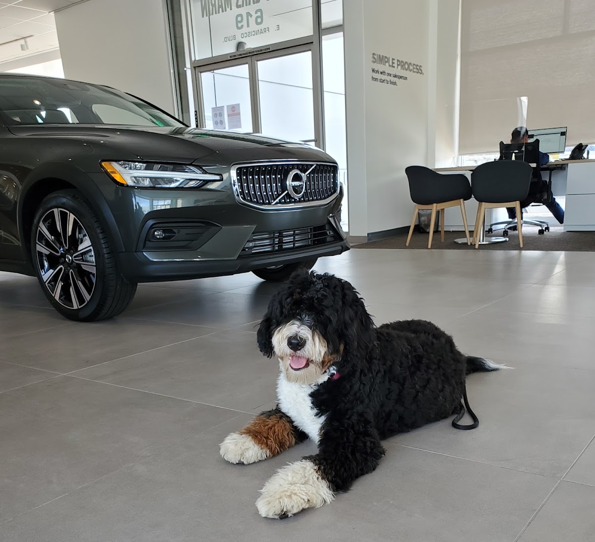 Volvo Cars Marin of San Rafael photo 2