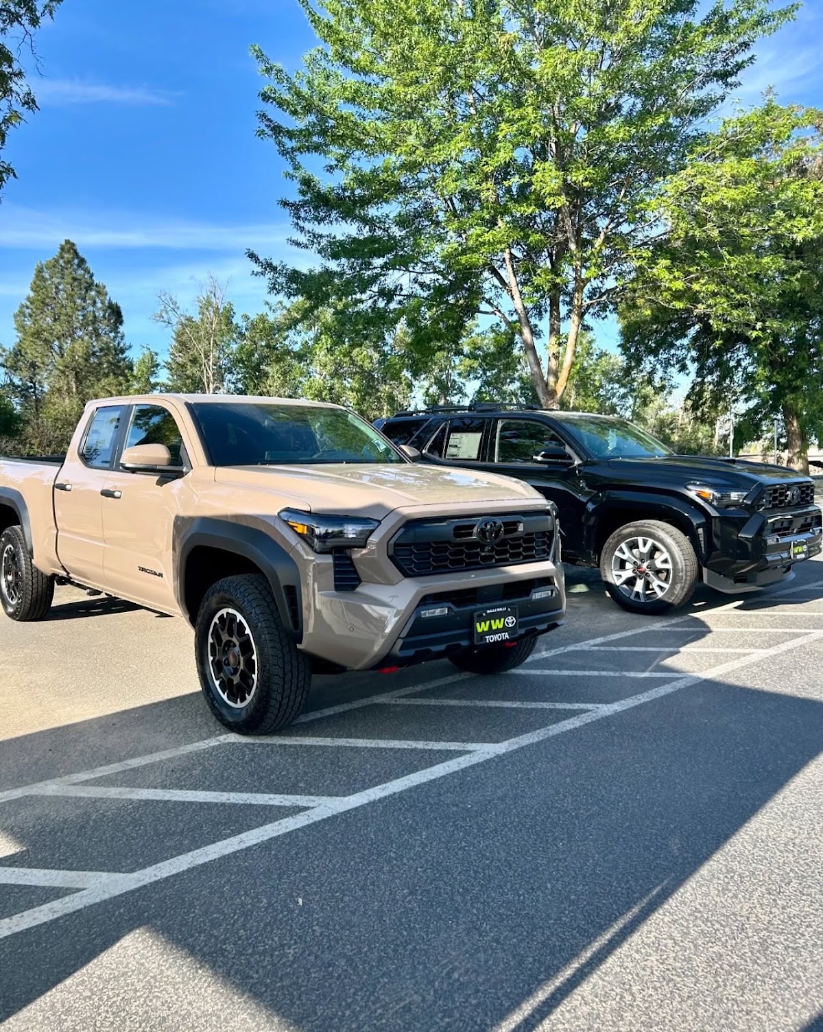 Walla Walla Toyota photo 3