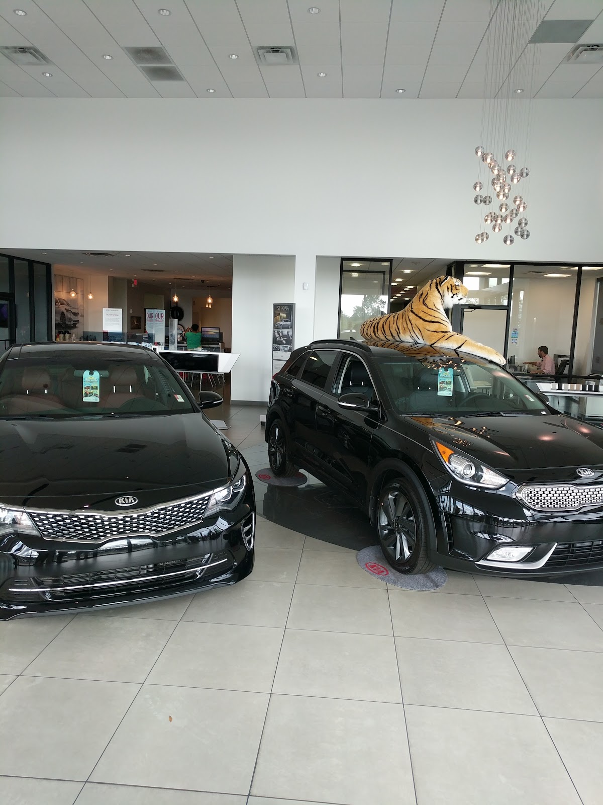 Kia of Auburn photo 4